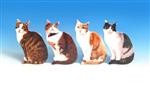CAT3357 Plastic Cat Magnet 4 asst